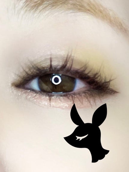 リアルクローズシャドウ/excel/アイシャドウパレットを使ったクチコミ(5枚目)