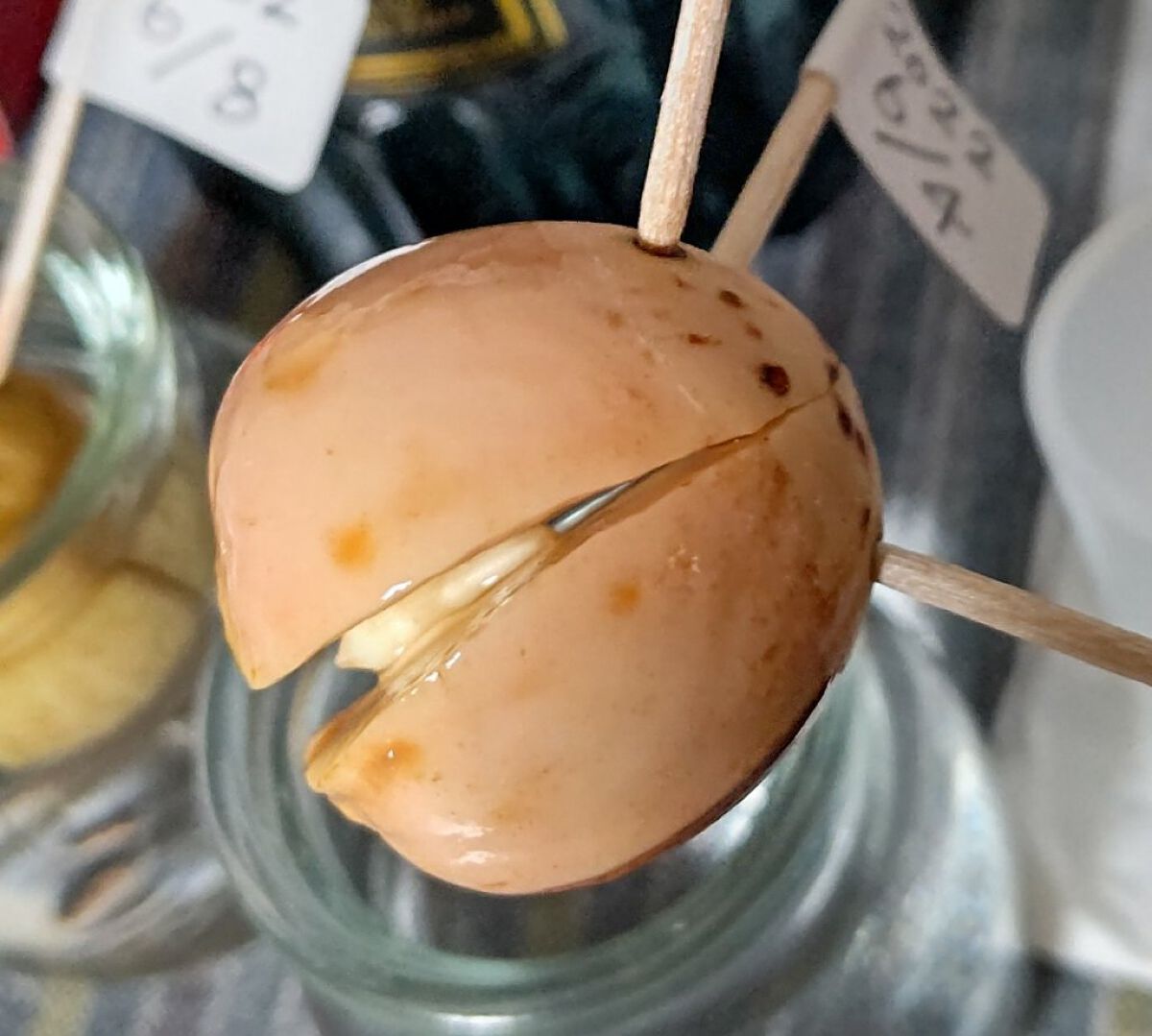 ガラス花瓶/DAISO/その他を使ったクチコミ（1枚目）