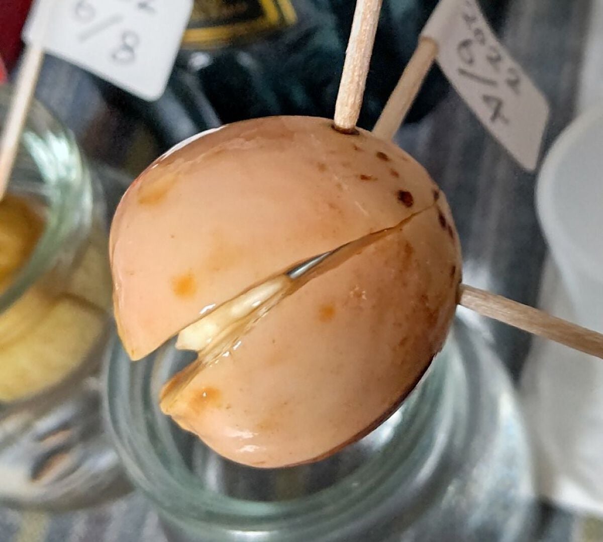 ガラス花瓶/DAISO/その他を使ったクチコミ(1枚目)