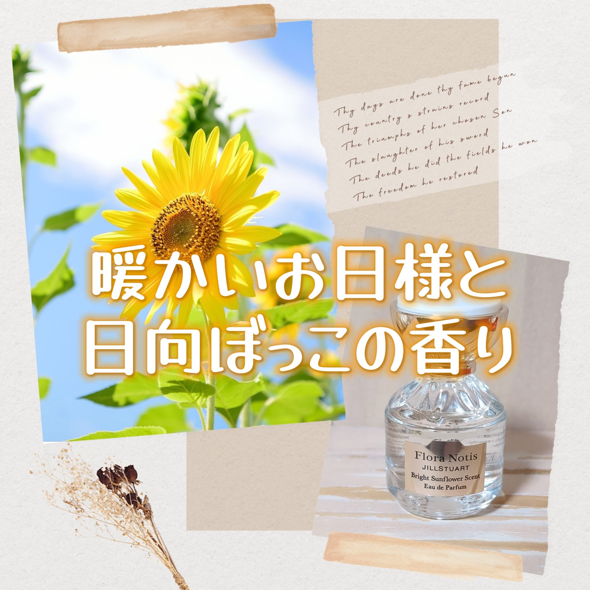 フローラルノーティス ジルシュチュアート ブライトサンフラワー オードパルファン フローラノーティス ジルスチュアート ブライトサンフラワー
