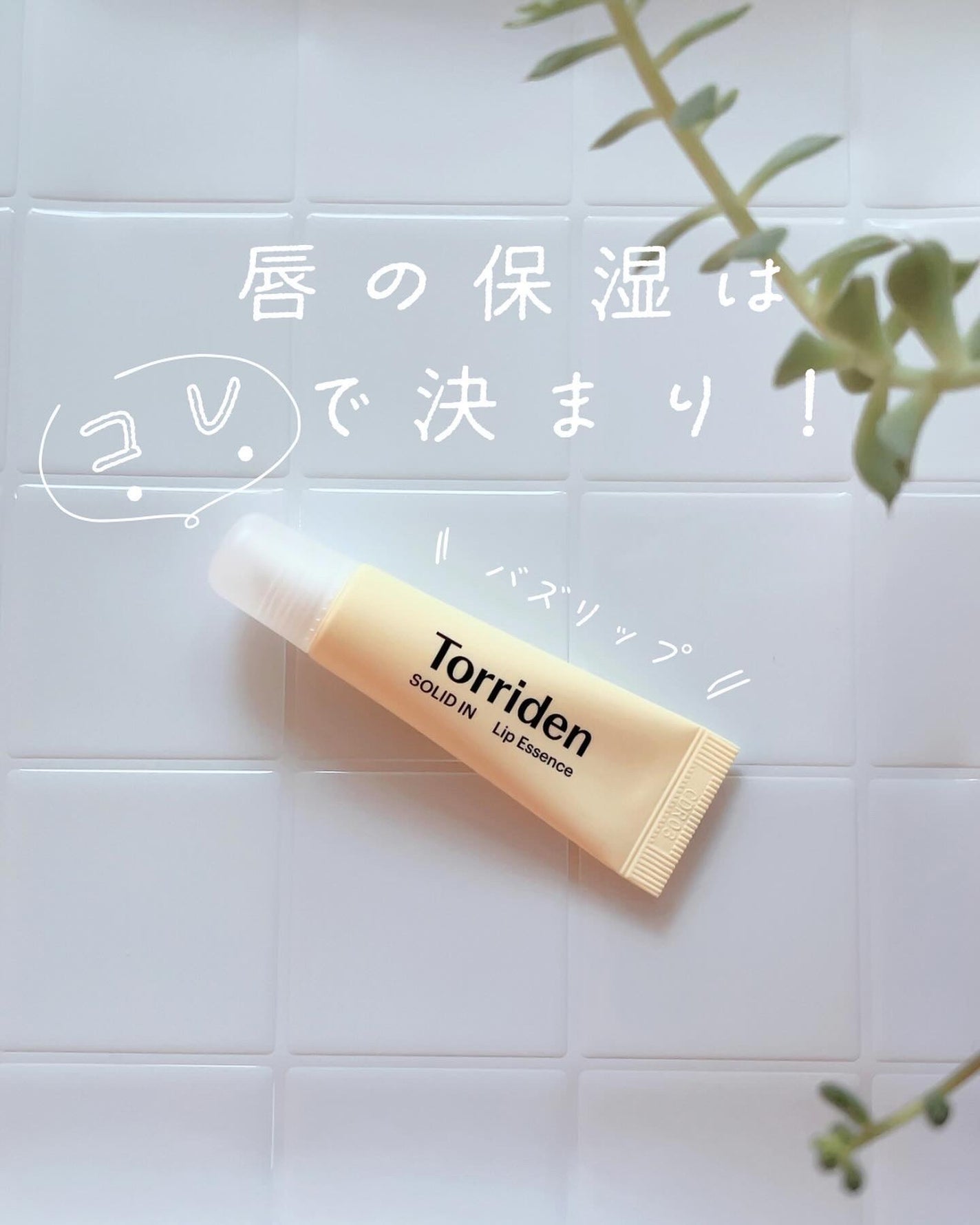 ソリッドイン リップエッセンス/Torriden/リップ美容液を使ったクチコミ(1枚目)