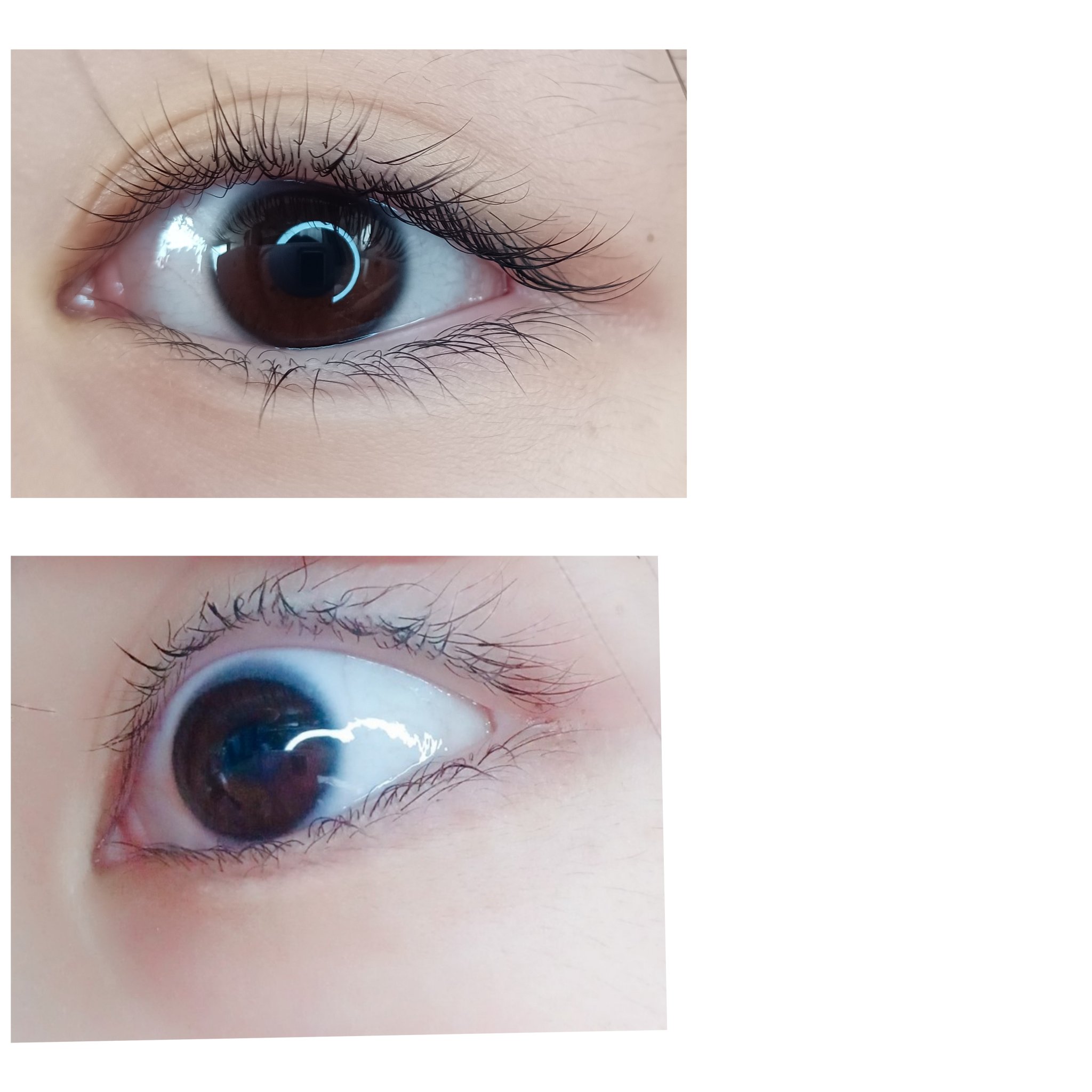 ひとえ・奥ぶたえ用カーラー/アイプチ®/ビューラーを使ったクチコミ（3枚目）