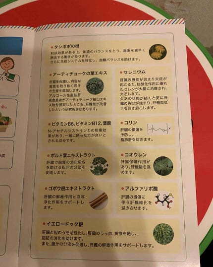 PF11/Dr. Choi's Solution/ボディクリームを使ったクチコミ(4枚目)