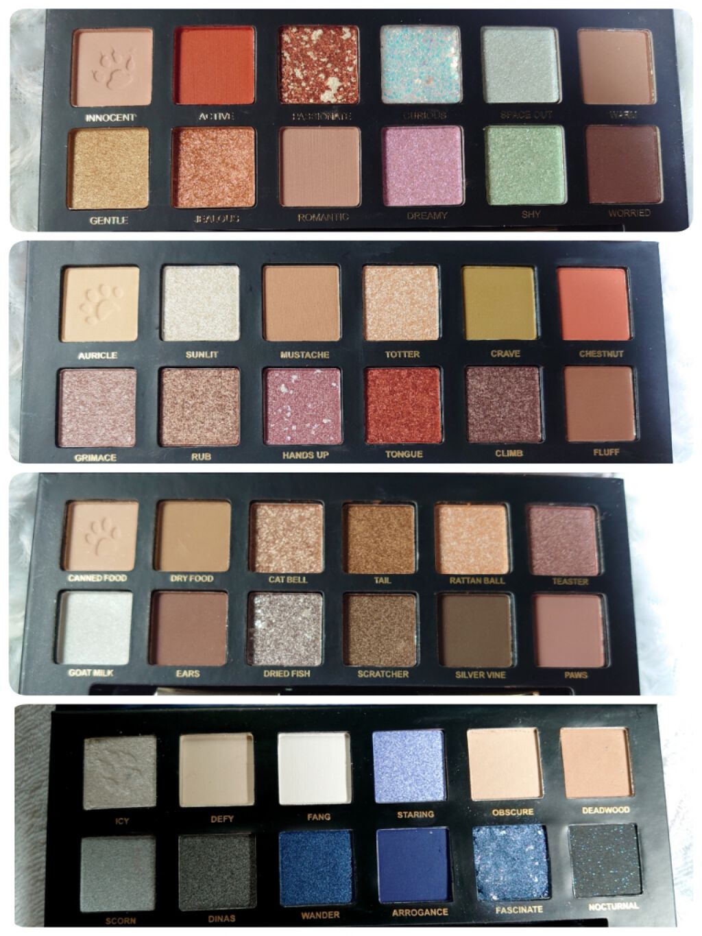エクスプローラ12色 動物アイシャドウパレット/PERFECT DIARY/アイシャドウパレットを使ったクチコミ（2枚目）