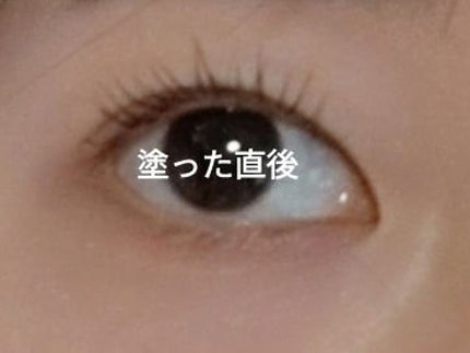 ウォンジョンヨ ヌードアイラッシュ/Wonjungyo/マスカラを使ったクチコミ(2枚目)