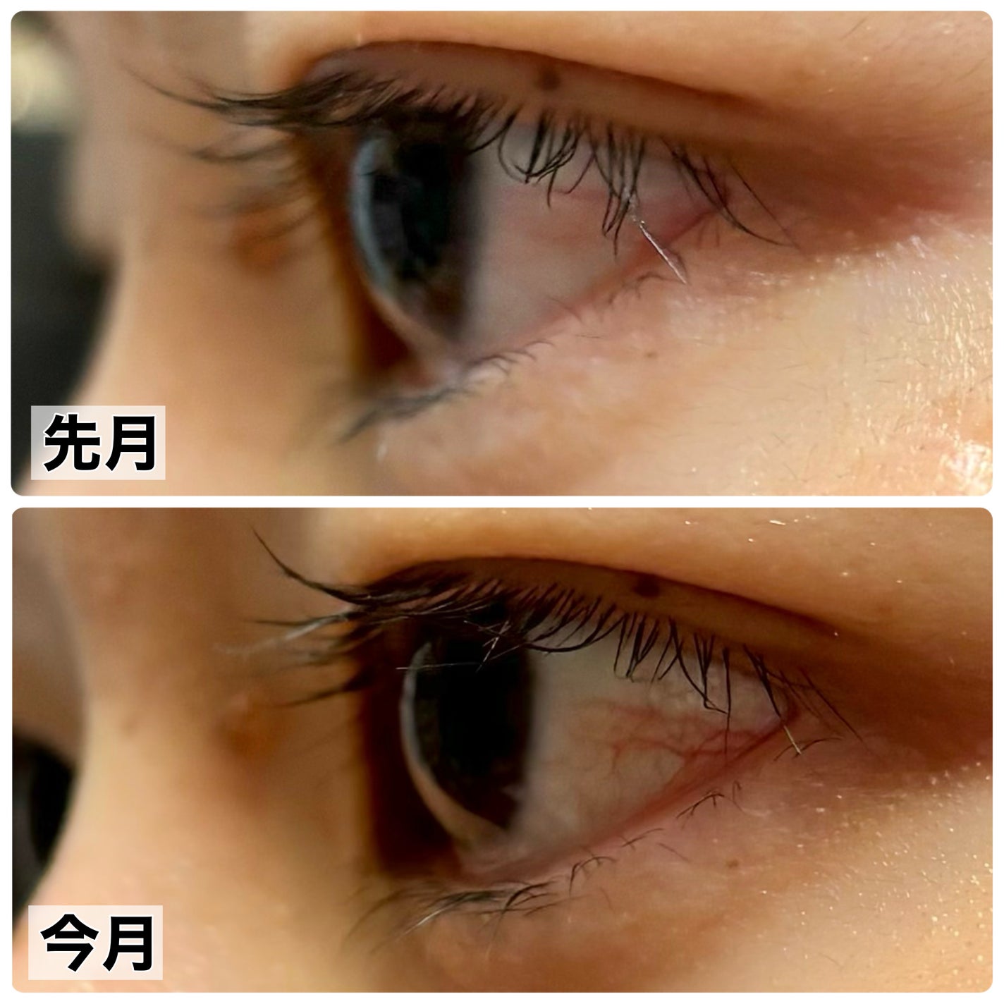 ロングアクティブアイラッシュセラム/COSNORI/まつげ美容液を使ったクチコミ(3枚目)