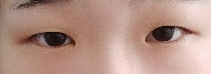 アイラッシュフィクサーEX 552/D-UP/つけまつげを使ったクチコミ（1枚目）