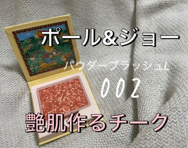 2021AW! ポール&ジョーから秋コスメが登場！


【使った商品】
PAUL & JOE BEAUTE　パウダー ブラッシュ L
002　ウィークエンド ゲットアウェイ


【色味】
ざっくりいうと