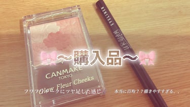 UR GLAM　LIQUID EYELINER/U R GLAM/リキッドアイライナーを使ったクチコミ（1枚目）