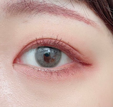 レ ベージュ パレット ルガール/CHANEL/アイシャドウパレットを使ったクチコミ(5枚目)