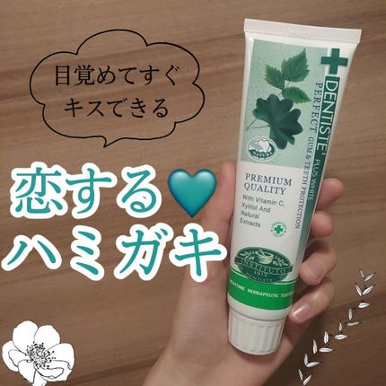 デンティス チューブタイプ/デンティス/歯磨き粉を使ったクチコミ(1枚目)