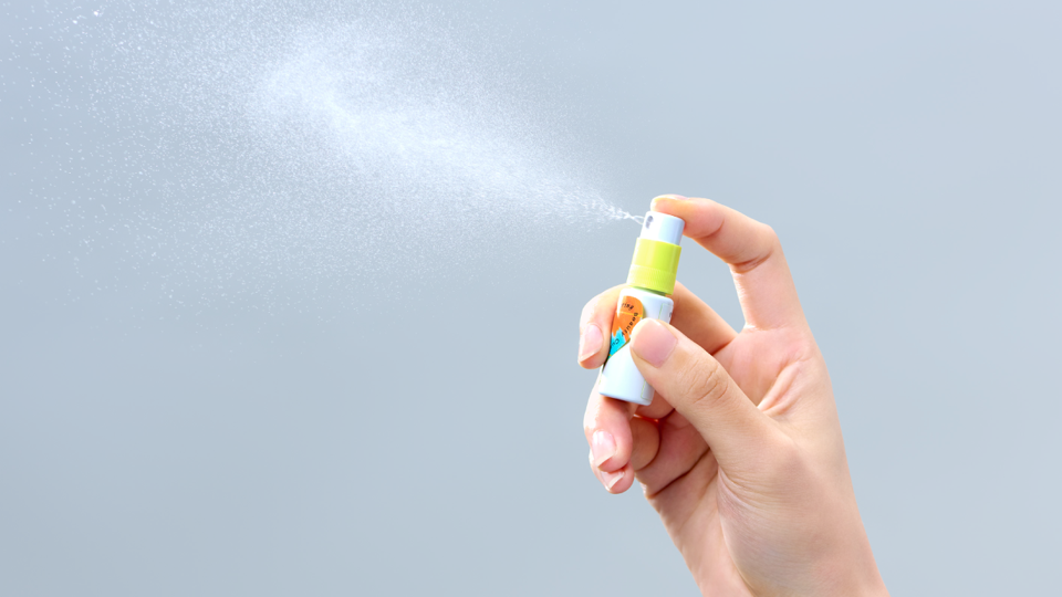 資生堂フィボナ09-151 スキンアクセサリー SHISEIDO