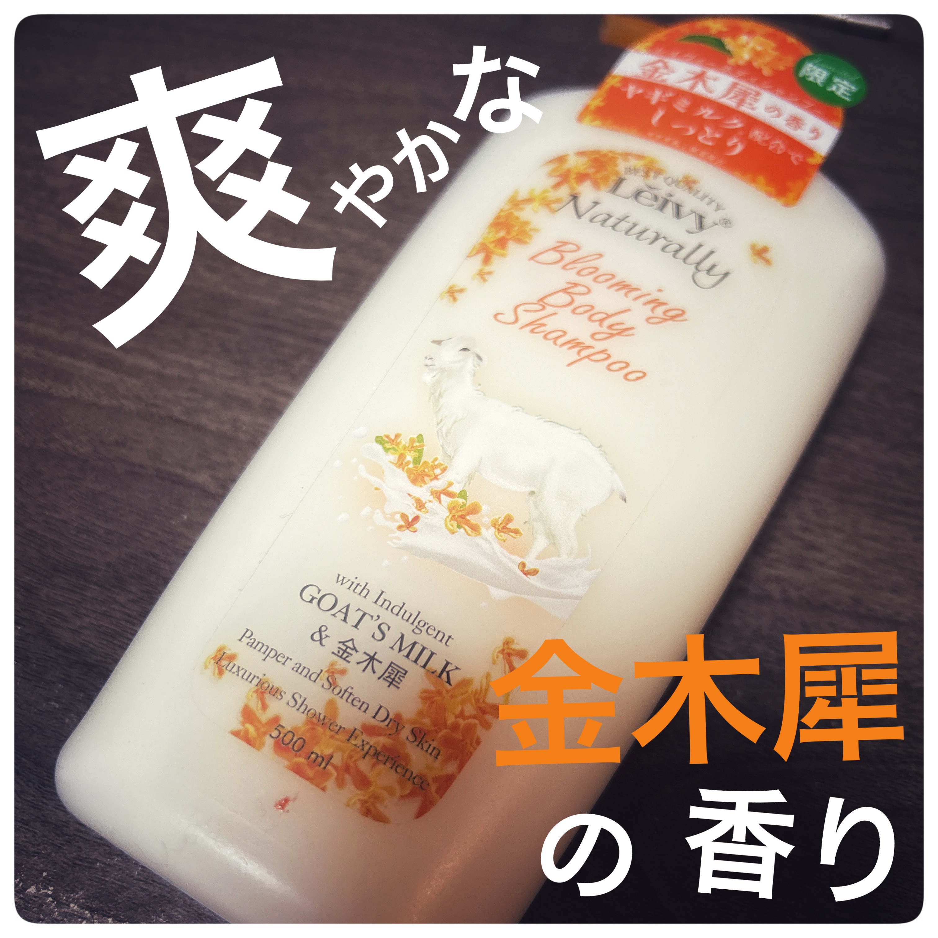 ボディシャンプー 金木犀/Leivy/ボディソープを使ったクチコミ（1枚目）