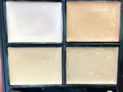 トーンパーフェクティング パレット/DECORTÉ/パレットコンシーラーを使ったクチコミ(2枚目)