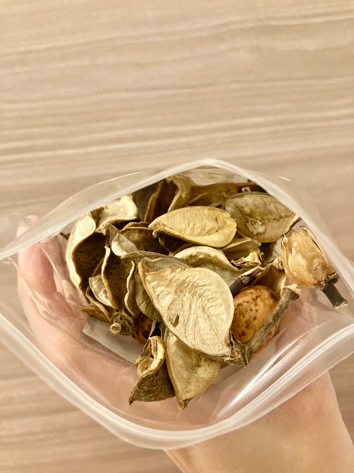 キャンドゥ購入品😄💞/キャンドゥ/その他を使ったクチコミ(5枚目)