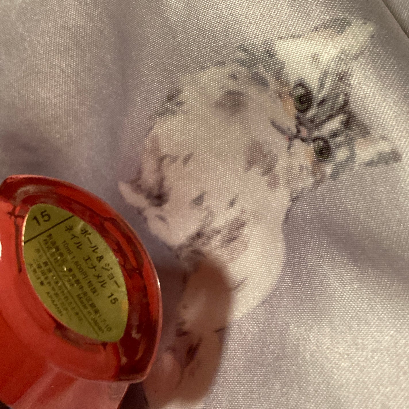 ネイルカラー/PAUL & JOE BEAUTE/マニキュアを使ったクチコミ(2枚目)