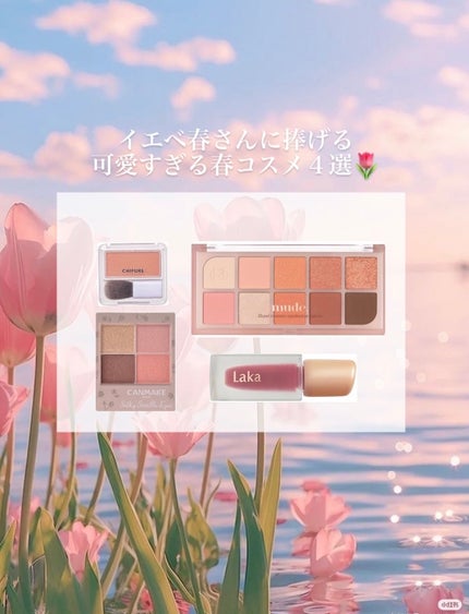 シルキースフレアイズ(マットタイプ)/キャンメイク/アイシャドウパレットを使ったクチコミ(1枚目)