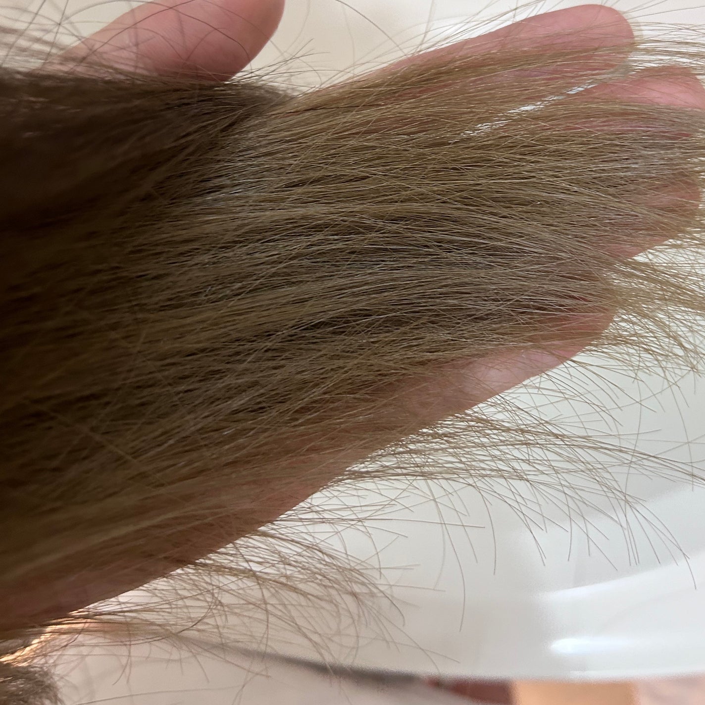 ザビューティ リペアシャンプー・コンディショナー/エッセンシャル/市販シャンプーを使ったクチコミ(3枚目)