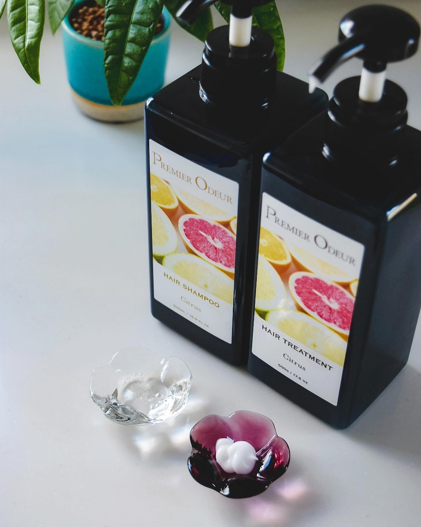 プルミエ オドゥール シャンプー / トリートメント/premier odeur/市販シャンプーを使ったクチコミ(2枚目)