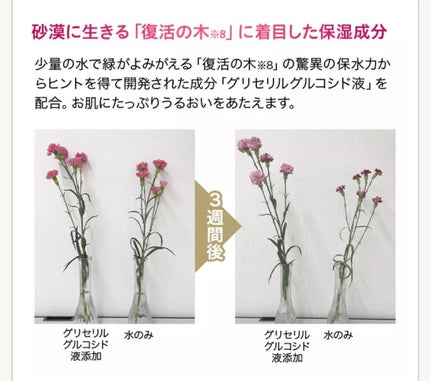 リフトホワイト ローション モイスト/BRIGHTAGE/化粧水を使ったクチコミ(5枚目)