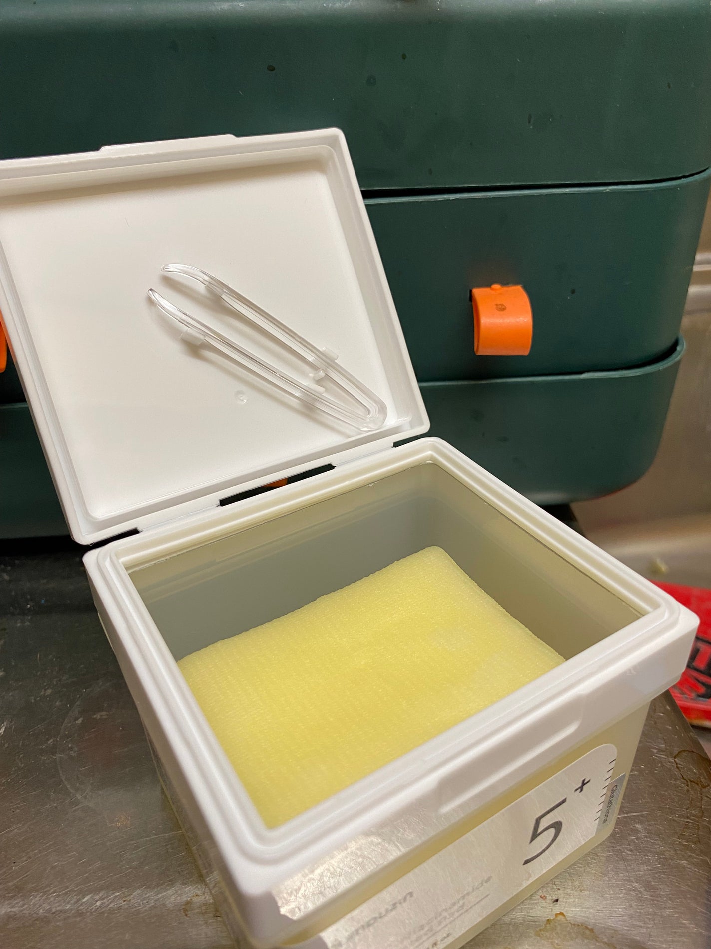 5番 白玉グルタチオンCフィルムパッド/numbuzin/トナーパッドを使ったクチコミ(1枚目)