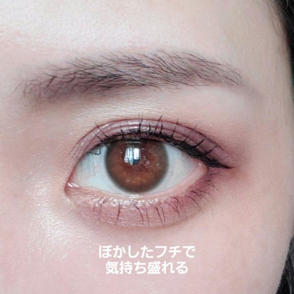 ReVIA 1day/ReVIA/ワンデー(1DAY)カラコンを使ったクチコミ(2枚目)