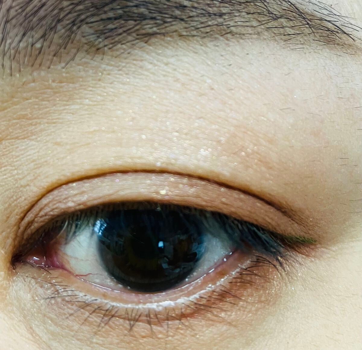 シルキースフレアイズ(マットタイプ)/キャンメイク/アイシャドウパレットを使ったクチコミ(5枚目)