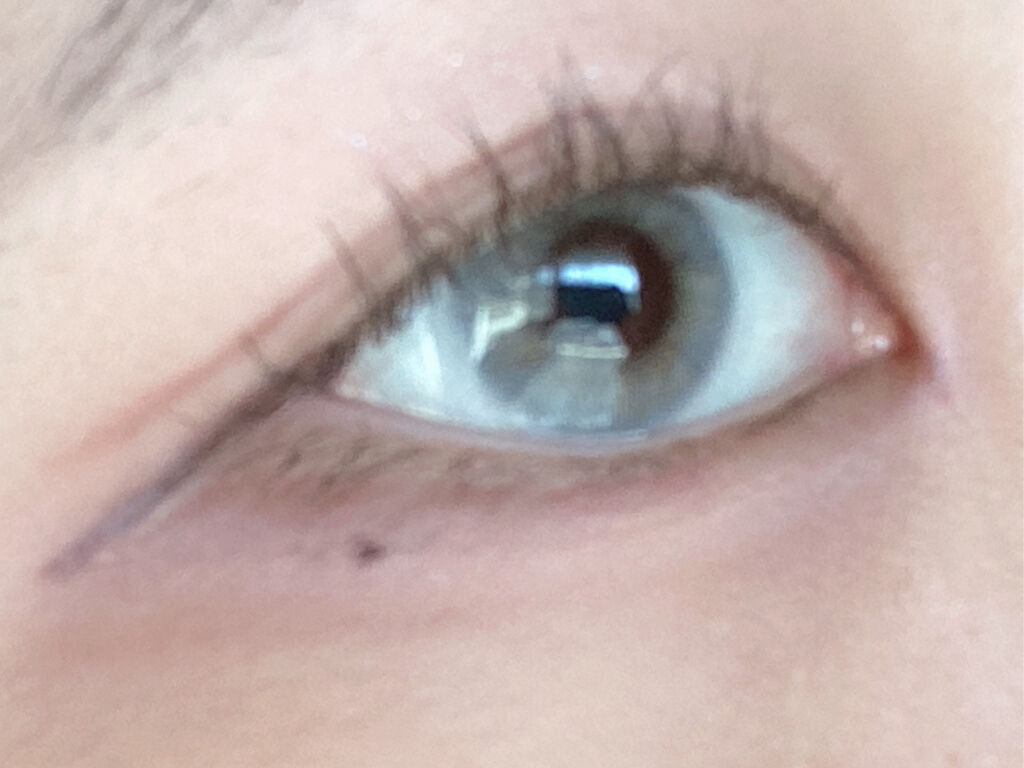 N’s COLLECTION 1day/N’s COLLECTION/ワンデー（１DAY）カラコンを使ったクチコミ（2枚目）