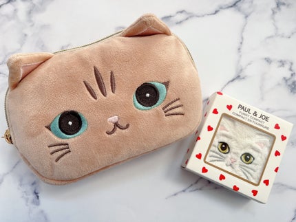 アイカラー デュオ/PAUL & JOE BEAUTE/アイシャドウパレットを使ったクチコミ(2枚目)