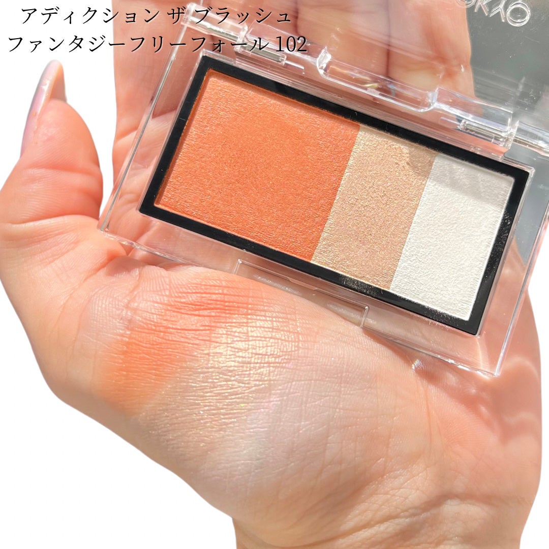 アディクション ホリデー アディクション ファンタジー フリーフォール /ADDICTION/メイクアップキットを使ったクチコミ(4枚目)