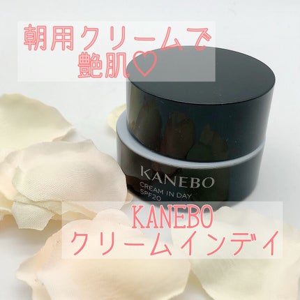 クリーム イン デイ/KANEBO/フェイスクリームを使ったクチコミ(1枚目)