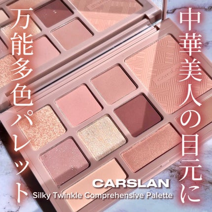シルキー トゥインクル 総合 パレット/CARSLAN/マルチパレットを使ったクチコミ(1枚目)