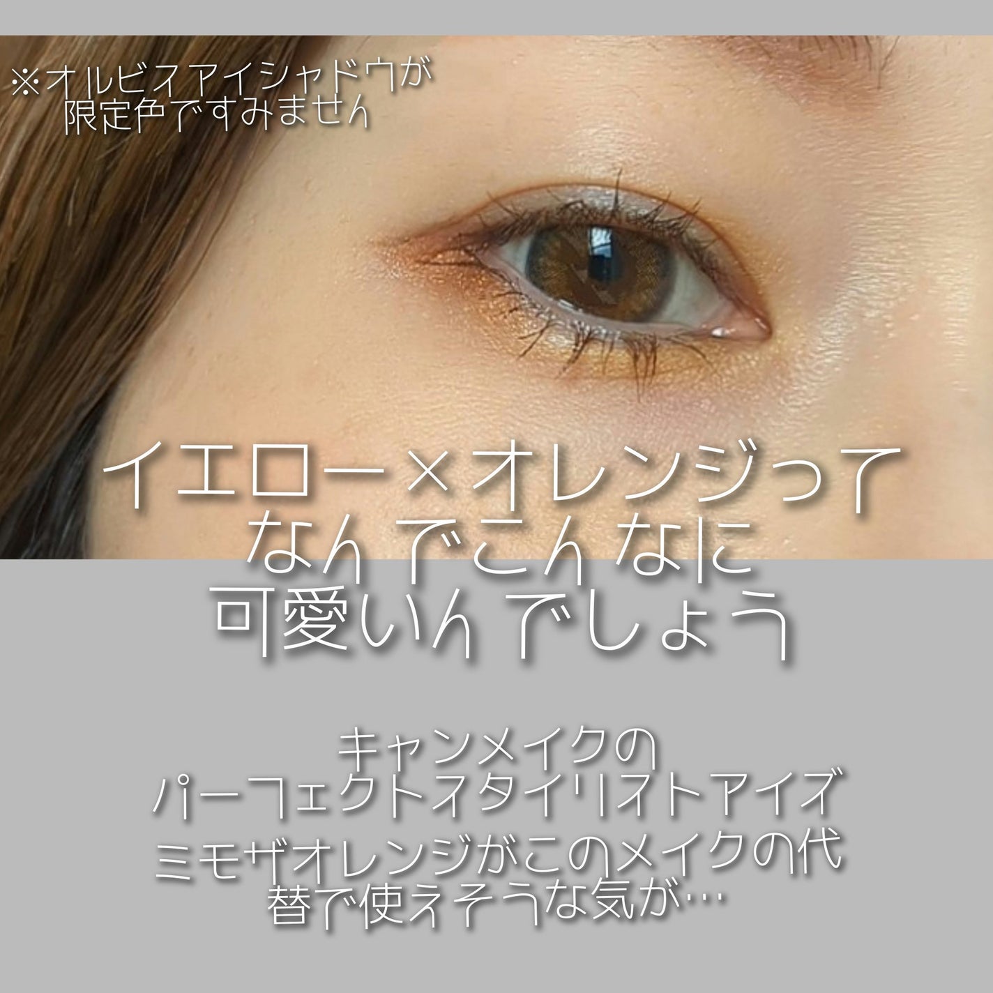 シルキースフレアイズ/キャンメイク/アイシャドウパレットを使ったクチコミ(3枚目)