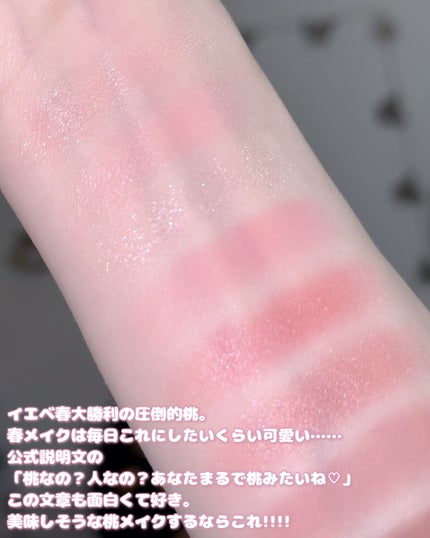 オール テイク ムード パレット(24AD)/PERIPERA/アイシャドウパレットを使ったクチコミ(4枚目)