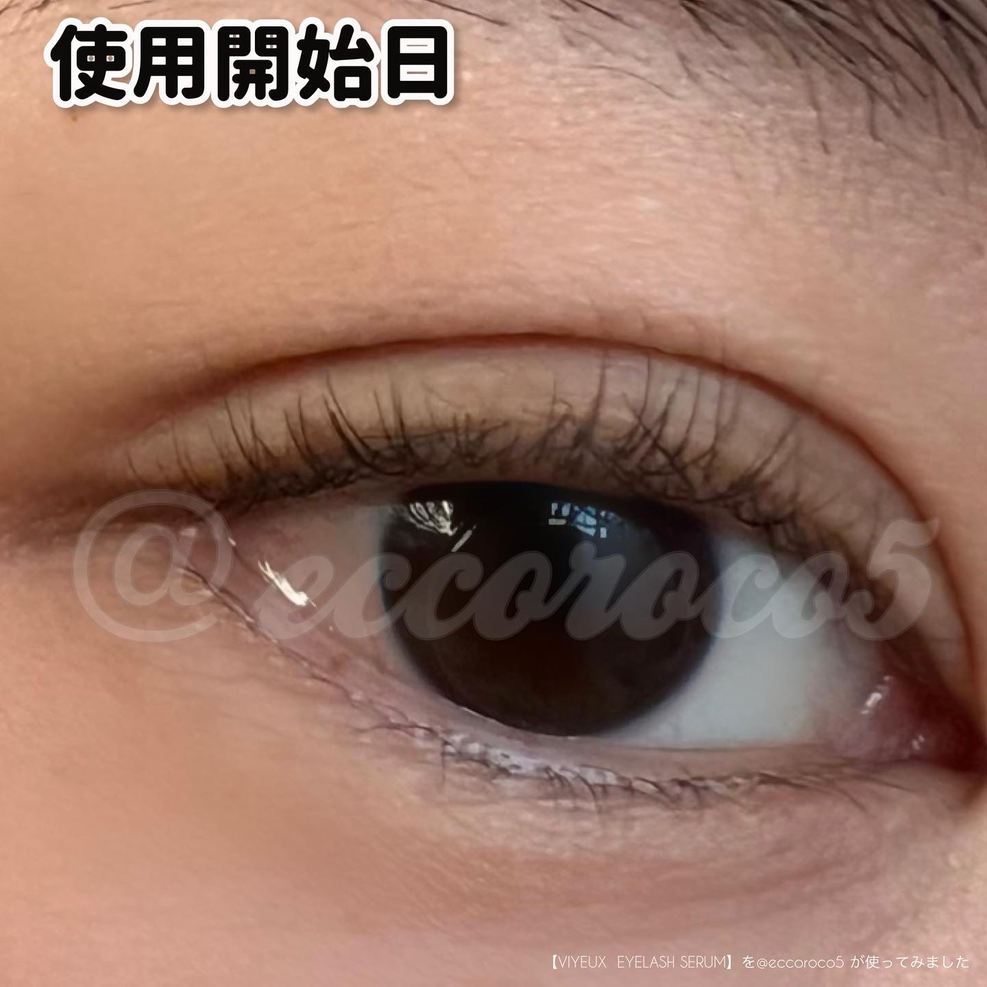 アイラッシュセラム/VIYEUX/まつげ美容液を使ったクチコミ（2枚目）