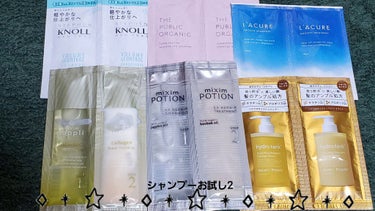 スーパーポジティブダメージRシャンプー／Rトリートメント/THE PUBLIC ORGANIC/シャンプー・コンディショナーを使ったクチコミ（1枚目）