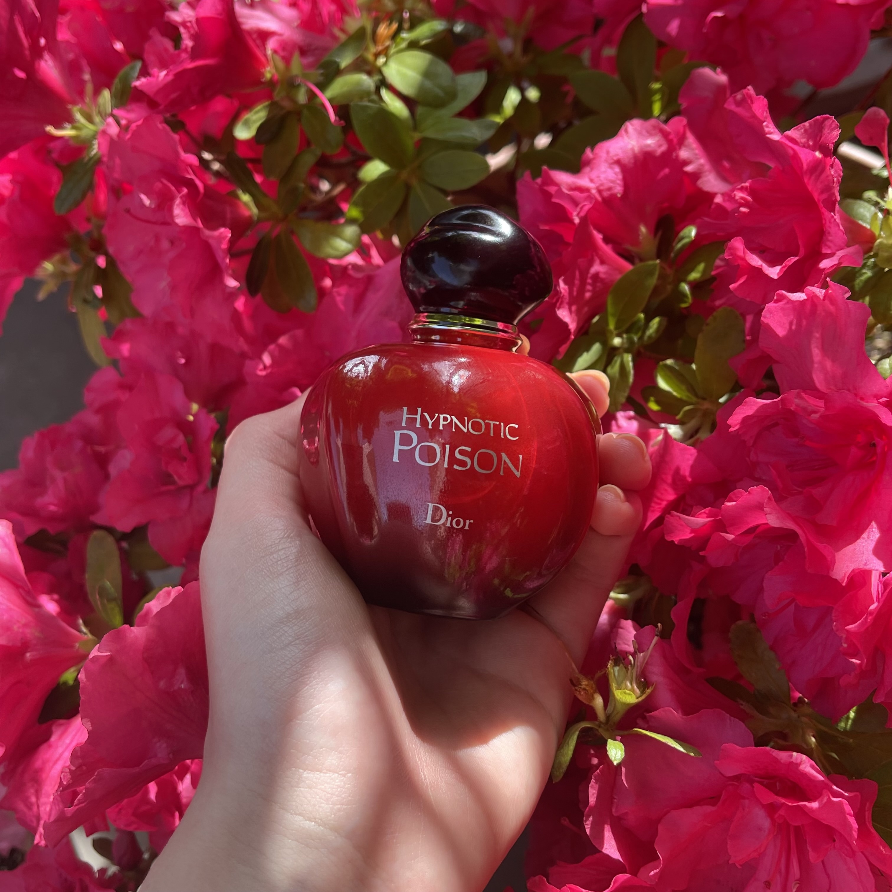 ヒプノティックプワゾン オードトワレ/Dior/香水(レディース)を使ったクチコミ（1枚目）