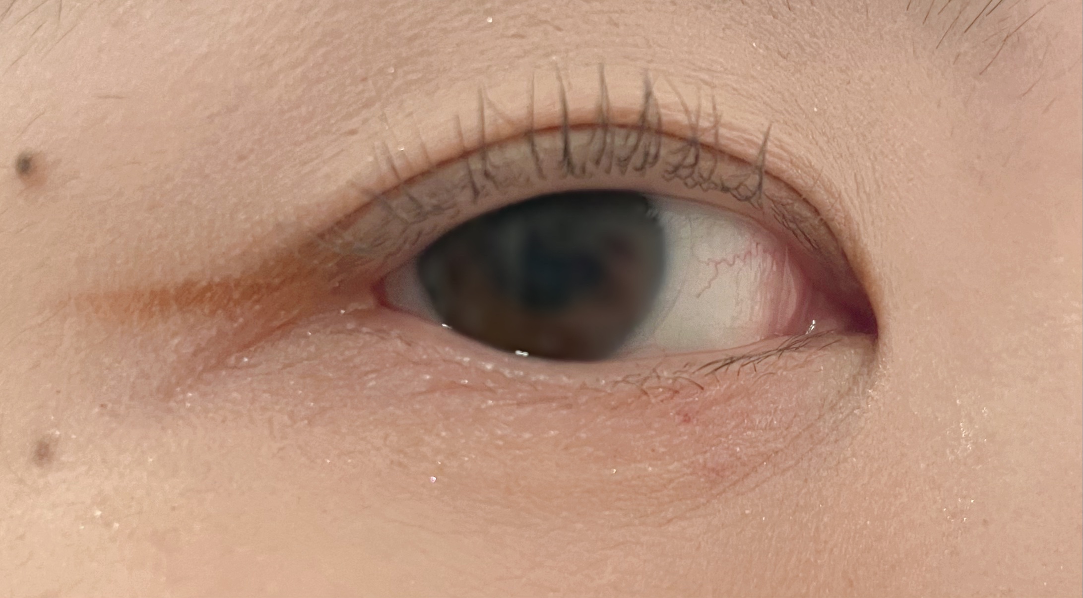 フェアリーカールマスカラ/upink/マスカラを使ったクチコミ（2枚目）