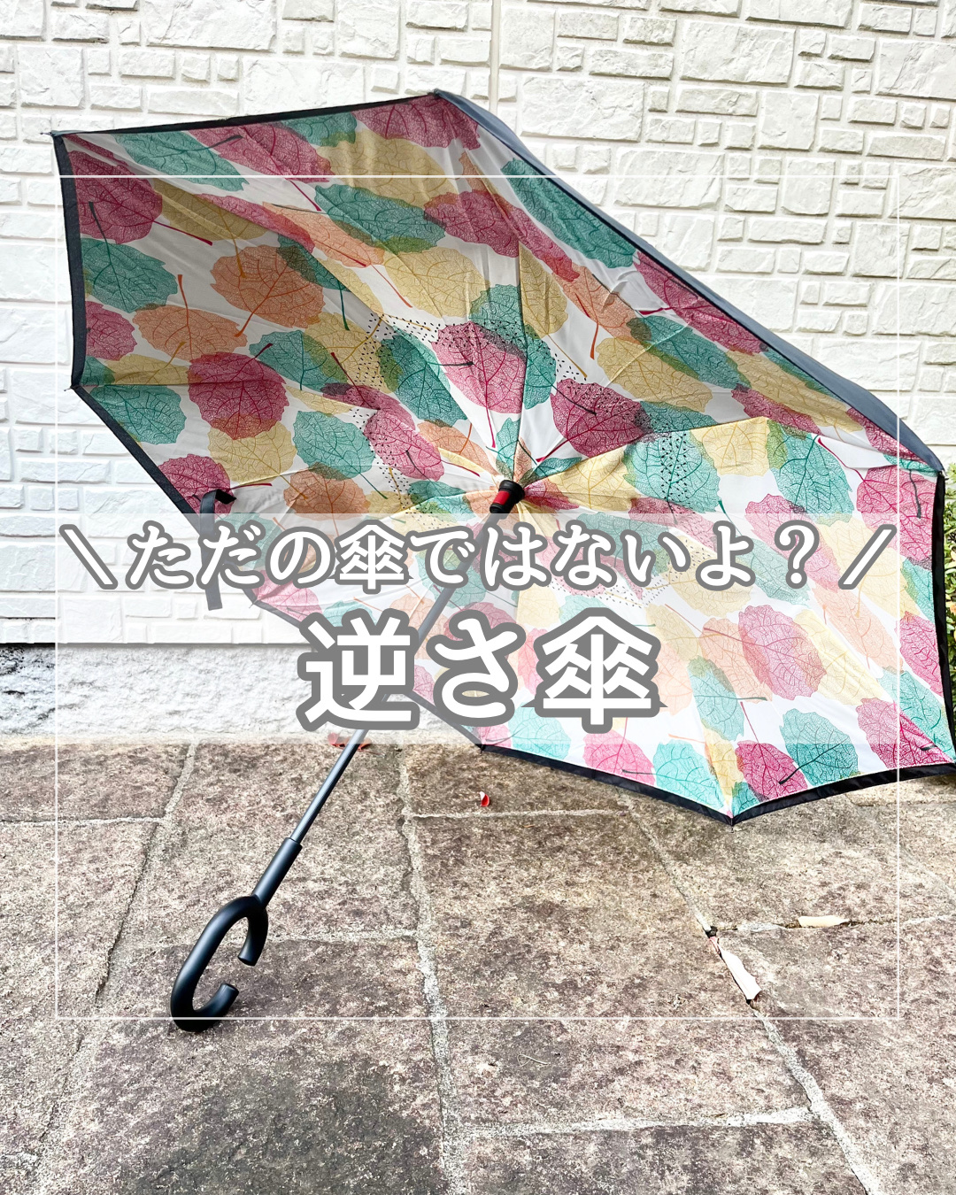 傘/Lazyingnook/日傘を使ったクチコミ（1枚目）