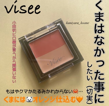 リシェ レッドトリック アイコンシーラー/Visée/コンシーラーを使ったクチコミ（1枚目）