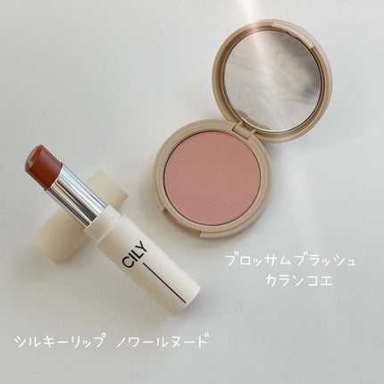 シルキーリップ/CILY/口紅を使ったクチコミ(2枚目)