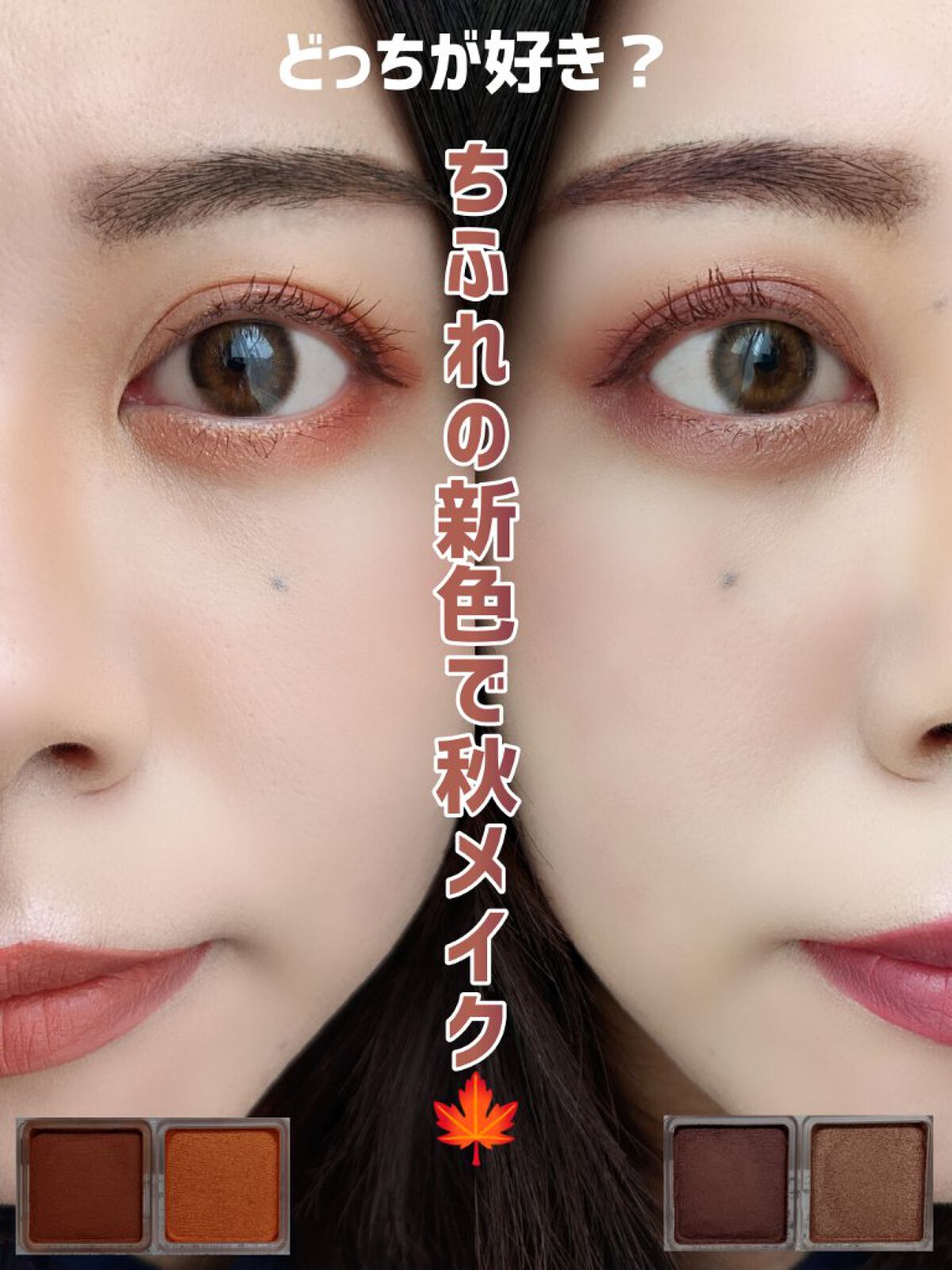 ツイン カラー アイシャドウ/ちふれ/アイシャドウパレットを使ったクチコミ（1枚目）