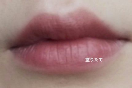 ニュアンス マット ルージュ BR340 カームブラウン/Visée/口紅を使ったクチコミ(2枚目)