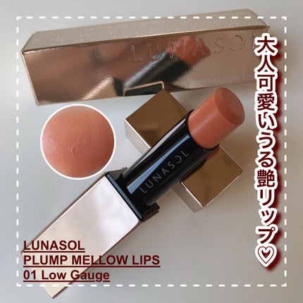 プランプメロウリップス/LUNASOL/口紅を使ったクチコミ(1枚目)