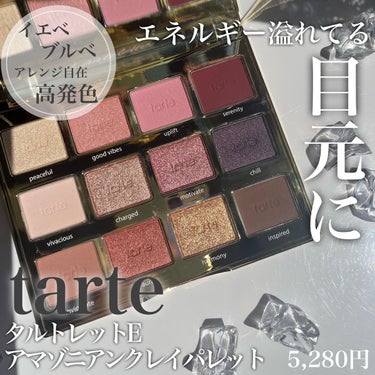 タルトレット Ｅ  アマゾニアンクレイ パレット/tarte/パウダーアイシャドウを使ったクチコミ（1枚目）