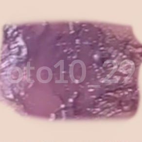 クイックラッシュカーラー/キャンメイク/マスカラ下地を使ったクチコミ(2枚目)