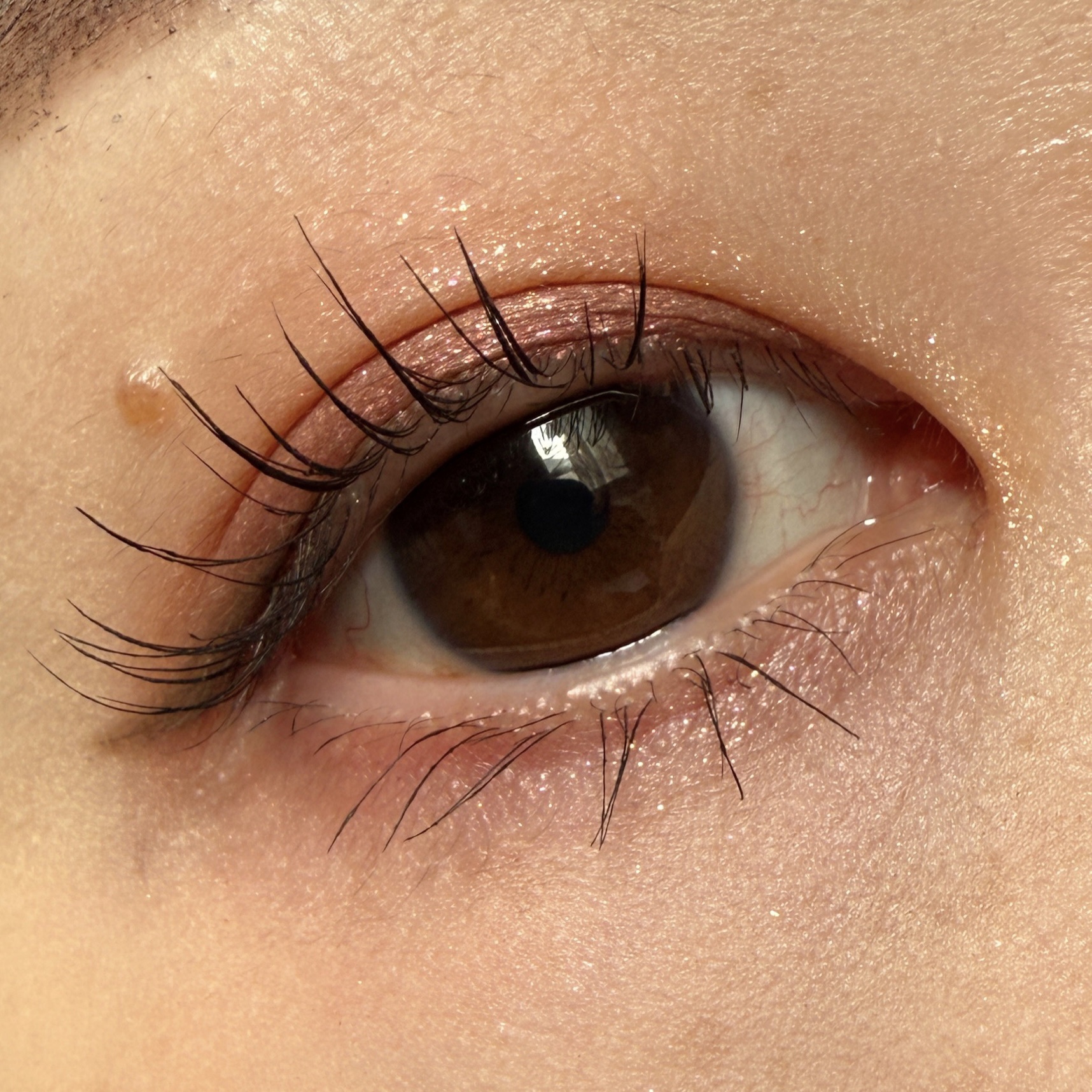 インウイ アイズ/INOUI/アイシャドウパレットを使ったクチコミ（2枚目）