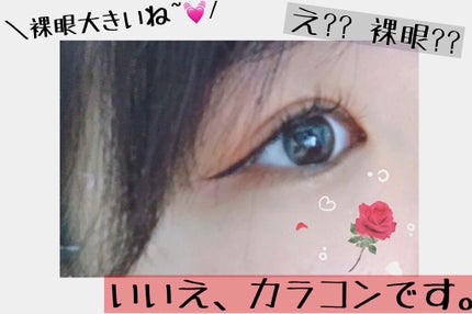 ReVIA 1day/ReVIA/ワンデー(1DAY)カラコンを使ったクチコミ(1枚目)