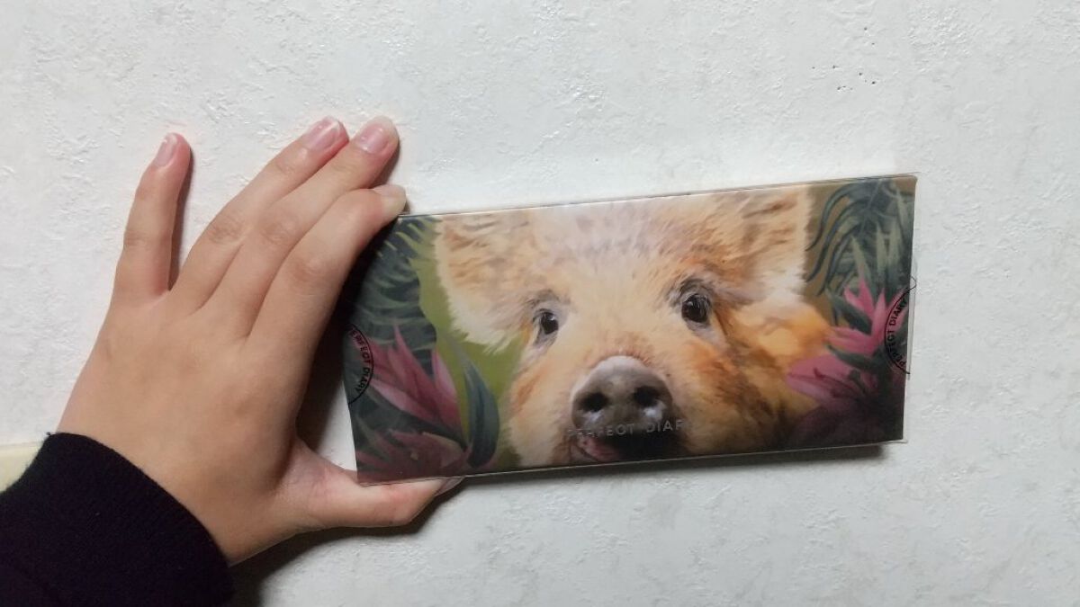 エクスプローラ12色 動物アイシャドウパレット/PERFECT DIARY/アイシャドウパレットを使ったクチコミ（1枚目）