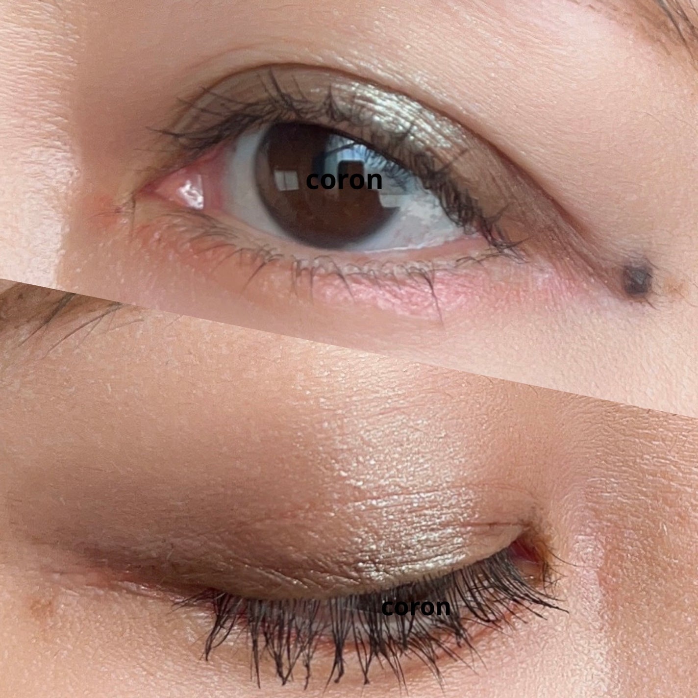 ãã³ã°ïŒã«ãŒã«ãã¹ã«ã© ã¢ããã³ã¹ããã£ã«ã /ããã€ã³ã¡ã€ã¯/ãã¹ã«ã©ã䜿ã£ãã¯ãã³ãïŒ2æç®ïŒ